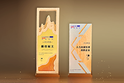 Ezpay(中国)国际一举斩获“2024年度中国区最佳雇主”等多项大奖